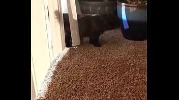 I knew this was going to hit me hard but jesus christ