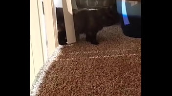 I knew this was going to hit me hard but jesus christ