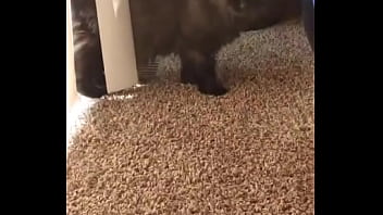 I knew this was going to hit me hard but jesus christ