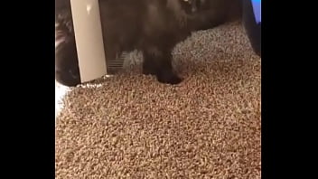 I knew this was going to hit me hard but jesus christ