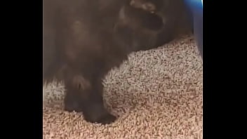 I knew this was going to hit me hard but jesus christ