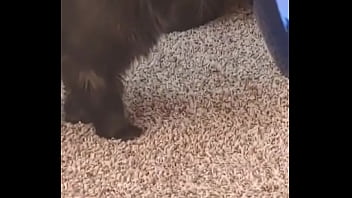 I knew this was going to hit me hard but jesus christ