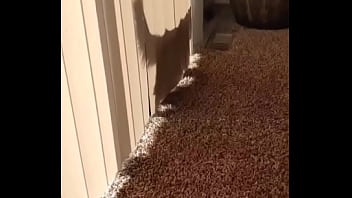 I knew this was going to hit me hard but jesus christ