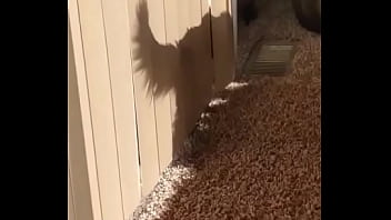 I knew this was going to hit me hard but jesus christ