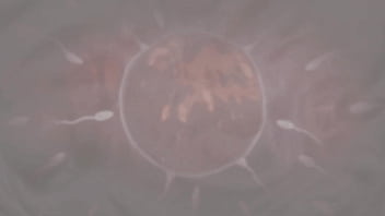 Roblox yi xi and the mask guy fuck at a public park