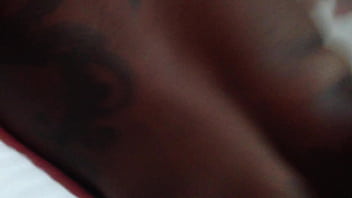 Raul25div e negranifa