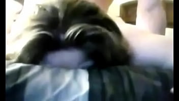 Received 1632287523466349