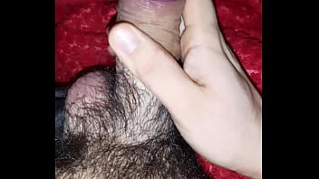 Pau Veiudo thumbnail