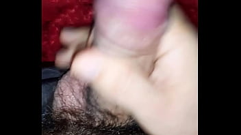 Pau Veiudo thumbnail