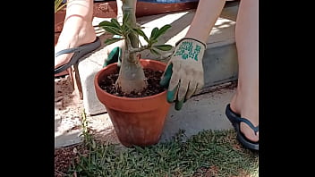 Maintaining my desert rose top on pants off