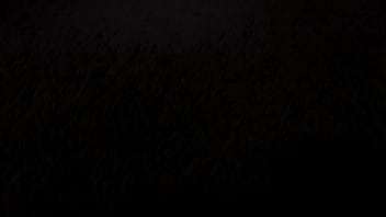 Hot leksy fox want big cock in her ass