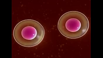 Celula safada novinha se dividindo para dar conta de tudo