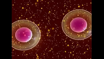 Celula safada novinha se dividindo para dar conta de tudo