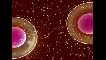 Celula safada novinha se dividindo para dar conta de tudo