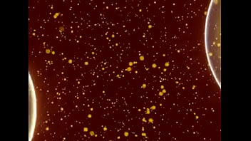 Celula Safada Novinha Se Dividindo Para Dar Conta De Tudo thumbnail