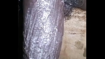 Bigblackie update #3 lv 0 20250619135940~2 jul 18 2025