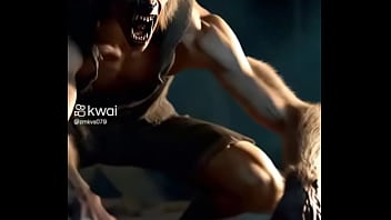 Vídeo de verificação