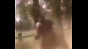 Blond Black thumbnail