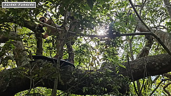 Aproveito da minha humildade so pra mim ajudar