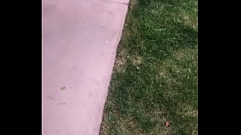 Trying to get certified for xvideos