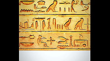 Robin one piece edit