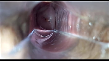 Orgasmo vaginal Orgasmo vaginal