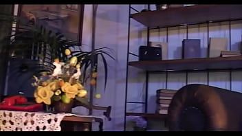 Hot lingerie and a big cock in the ass