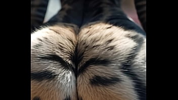 Big booty cat woman with edm ai generated