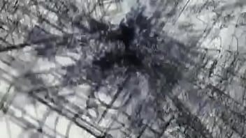 Steins;gate opening 1