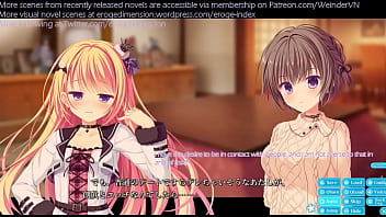 Hentai visual novel