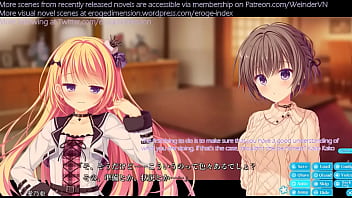 Hentai visual novel