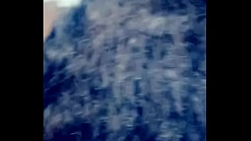 Kitty worshiping the great sage