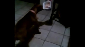 Vid 20150511 204154 418 4