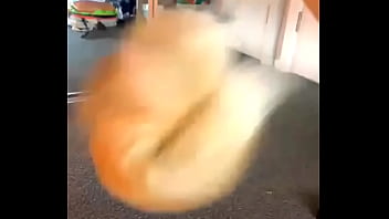 Me Encanta Pensar Que Soy Una Zorrita thumbnail