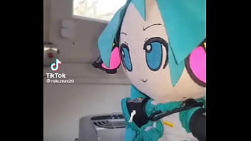 Miku paja