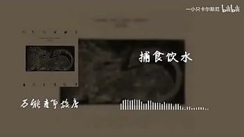 “自然赠予你”山雀