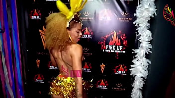 Carnaval dos criadores