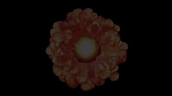 Don whoe has nina rivera right where he wants her super hot films