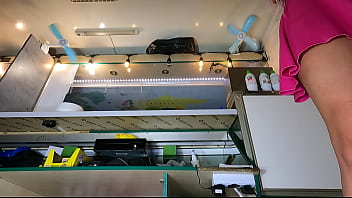 I've intentionally dressed up this dumb hostess like that secret upskirt pov