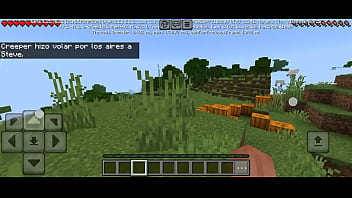 Maincraft no se jugar pipipi