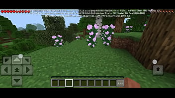 Maincraft no se jugar pipipi