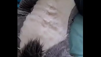 Furry Gozando Bastante thumbnail
