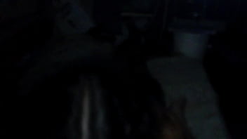 Brunette show trailer 04