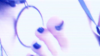 Which toe would you lick first