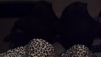 Filming my stepmoms naughty collection of thongs underwear