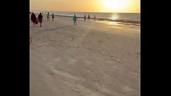 Corno mostrando sua gata