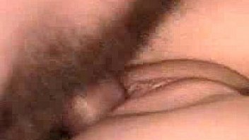 1n7pn8opq3406s3oso91q8p940o69s64zct 300