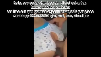 Sandy travita de lima sur