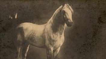 Retro Pussy & Pooch thumbnail