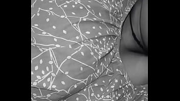 Wow update #163 2025 03 06t17 19 13 000z